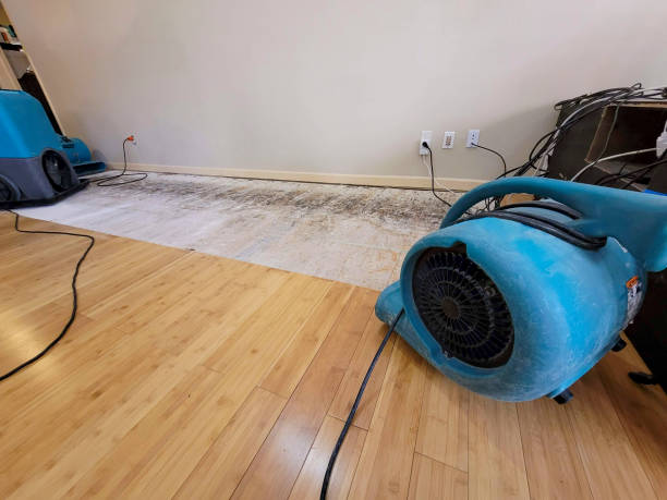Professional Structural Drying technician working in Calhan, CO